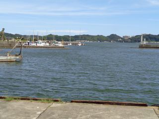 三河ベイ4.JPG
